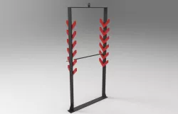 Salmon Ladder