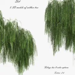   Set Tree Willow  3D model