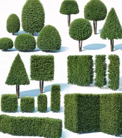 Taxus Baccata topiary Mega Collection 32 models 3D model