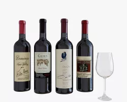 Wine bottle 3D model