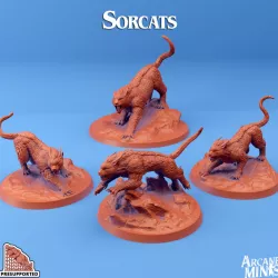 $15.00Sorcats