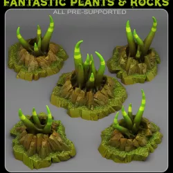$2.50MYSTIC TENTACLE PLANTS