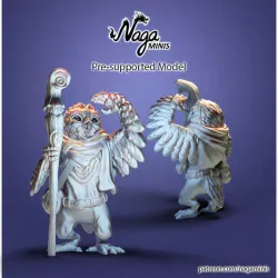 $2.99(Pre-supported) Owl Folk Cleric