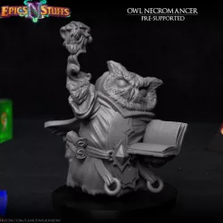 $2.99Owlkin Necromancer 1A Miniature - Pre-Supported