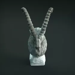 $4.00Siberian Ibex Bust