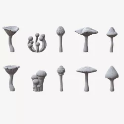 $4.00SMALL FUNGI