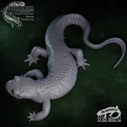 taricha granulosa 3d models 【 STLFinder