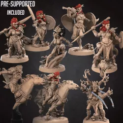 $42.00September 2021 Release - Amazons