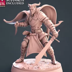$5.00Paladin G Tiefling Male
