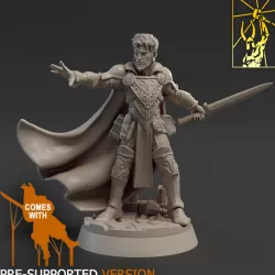 $5.00Spellblades - Male Mage