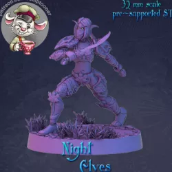 $6.00Night elf girl attack armored female