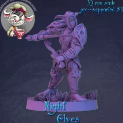 $6.00Night elf rogue calm armored man
