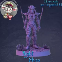 $6.00Night elf rogue calm female