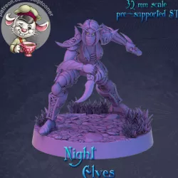 $6.00Night Elf rogue crouching female