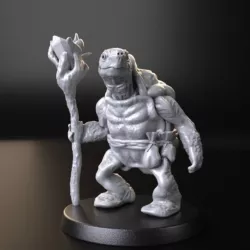 $6.00Sorcerer Turtle