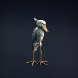 $7.00Shoebill