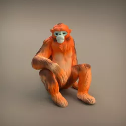 $7.00Snub-nose Monkey