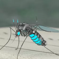 Mosquito Robot