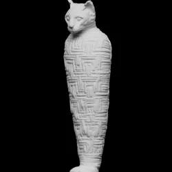 Mummified cat