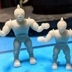 MUSCLE Man 141