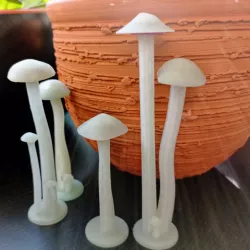 mushrooms 2nd pair