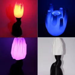 Nature inspired Mood lamp