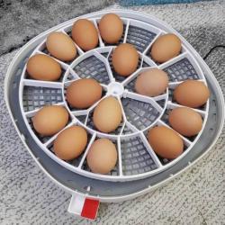 nurture right 360 egg turner 3D Models | Page 1 | STLFinder