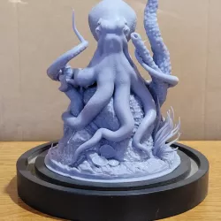 Octopus