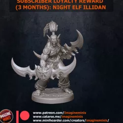 Patron Loyalty Reward 3 Months: Night Elf Hero