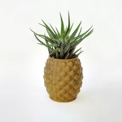 Pineapple planter