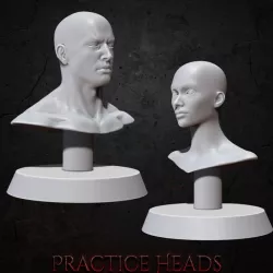 Practice Busts