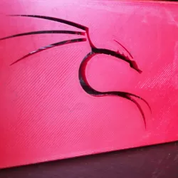 Raspberry Pi 4B Kali Linux themed case.