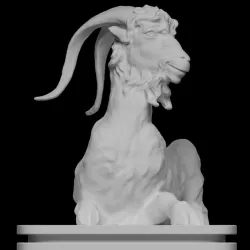 Resting Goat