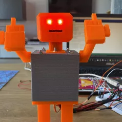 ROBOT F**K