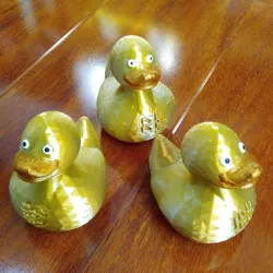 Rubber duck debugging