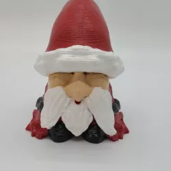 Santa gnome