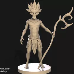 Shaman