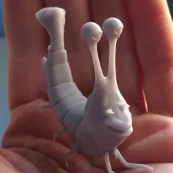 Shrimp