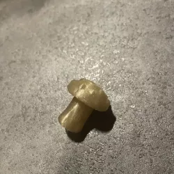 Shroom bead