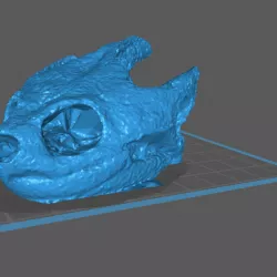 Snapping Turtle Skull