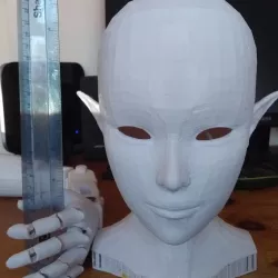 Sophie Head v2