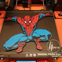 Spiderman Wall-art (Single and MMU)