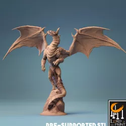 $11.99Young Cloud Dragon