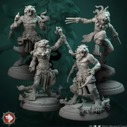 $16.00Tabaxi set 4 miniatures (2 warriors, mage, shaman) 32mm pre-supported