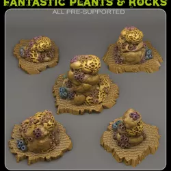 $2.50UNDERWATER SPONGE ROCKS