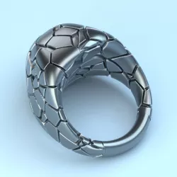 $2.60Voronoi cracked ring