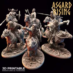 $24.00VIKINGS - Riders Modular Warband Presupported