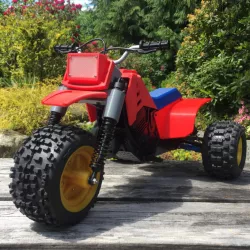 $25.00Trifekta RC 3-Wheeler H250r