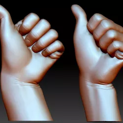 $3.00Thumb up hand sign gesture male bended