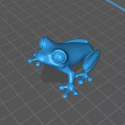 3D Frog